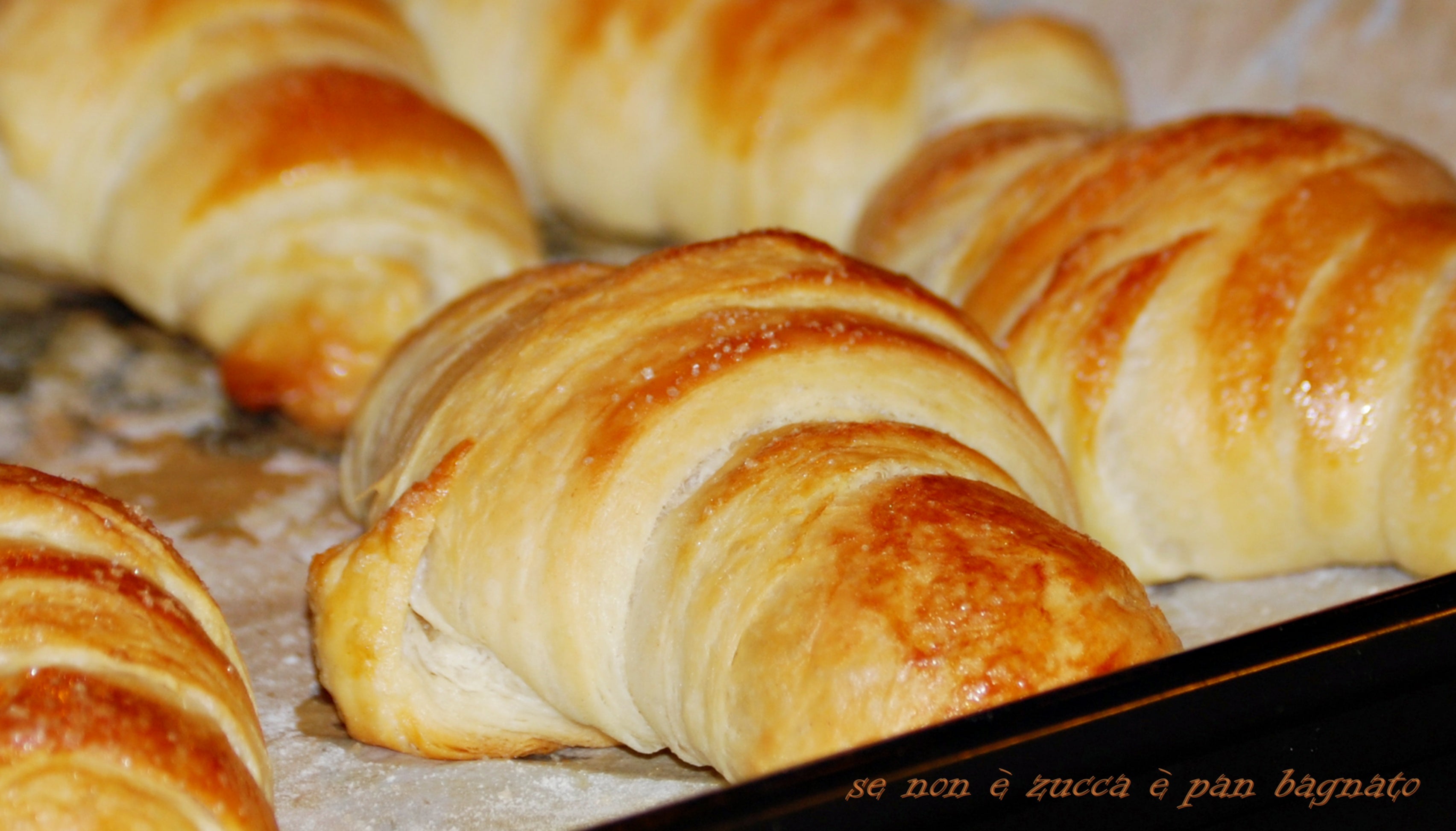 Croissant sfogliati con lievito madre