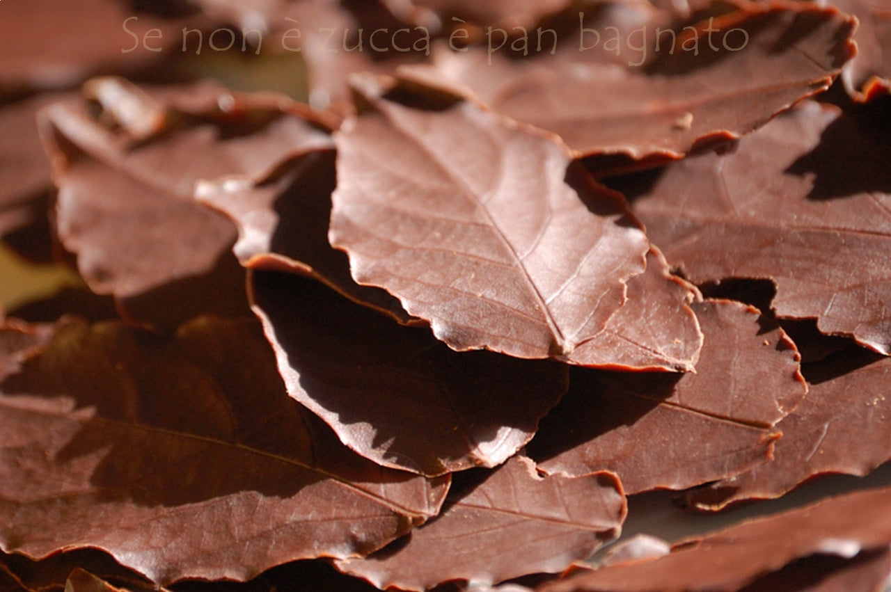 Foglie di cioccolato