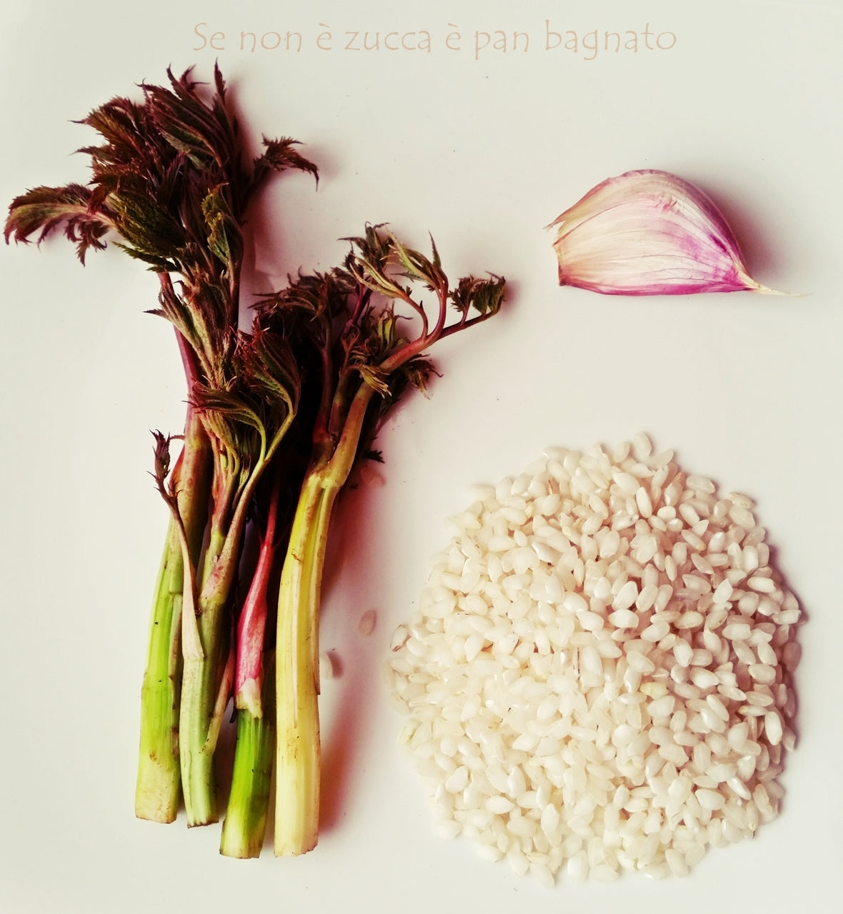 Risotto con Asparagi Selvatici