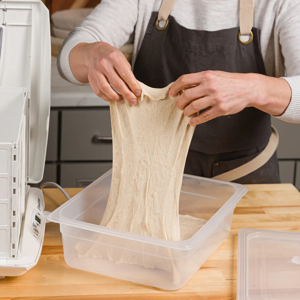 Contenitore per Lievitazione Impasti – Brod & Taylor